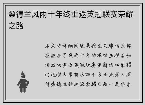 桑德兰风雨十年终重返英冠联赛荣耀之路